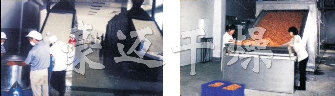 DW多层带式干燥机