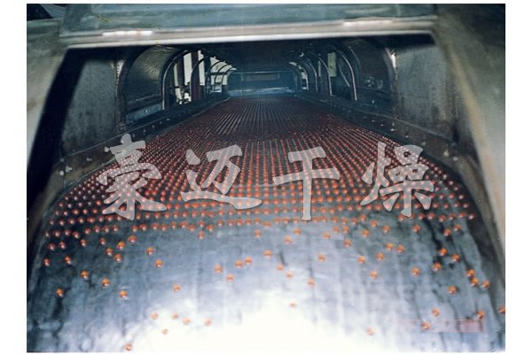 RL系列熔融造粒机