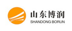 山东博润