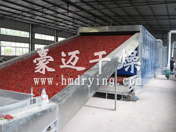 DWC系列脱水蔬菜带式干燥机